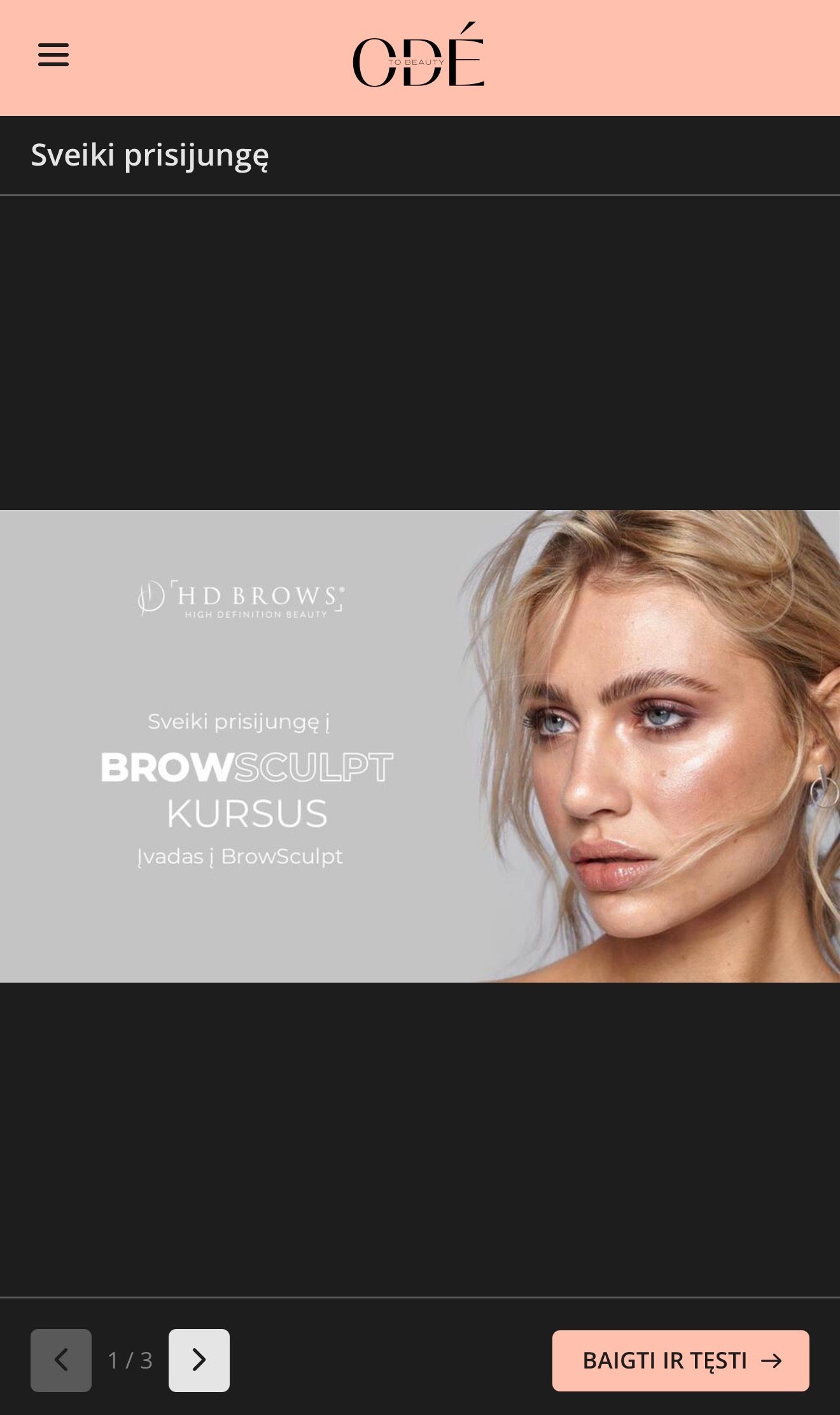 HD BROWSCULPT ONLINE kursas