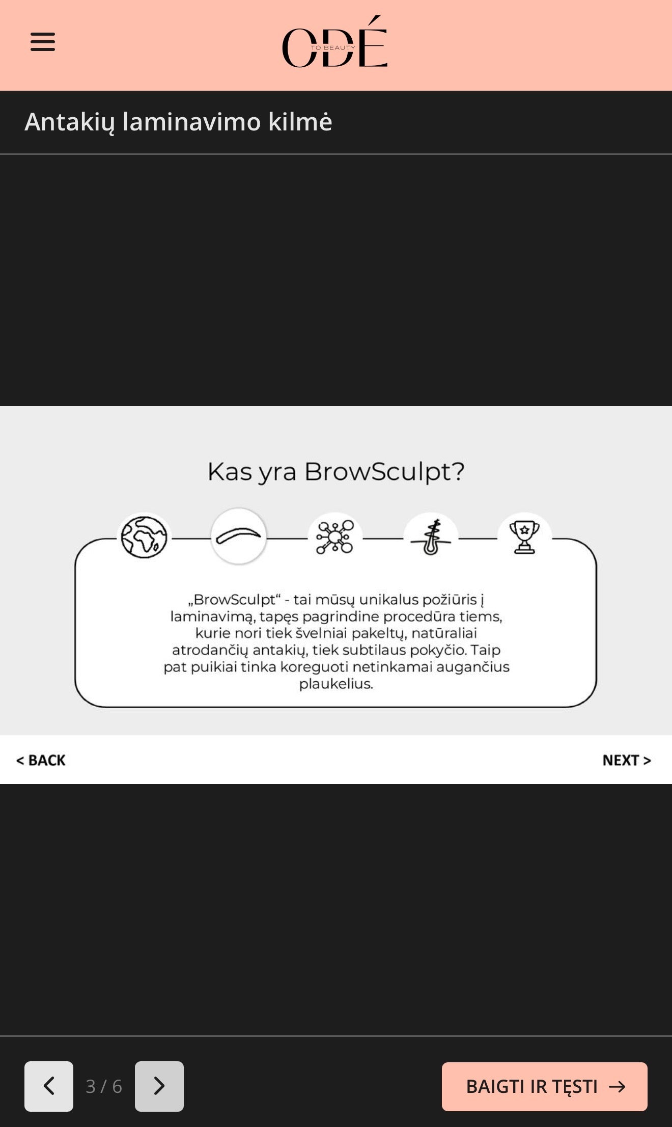 HD BROWSCULPT ONLINE kursas