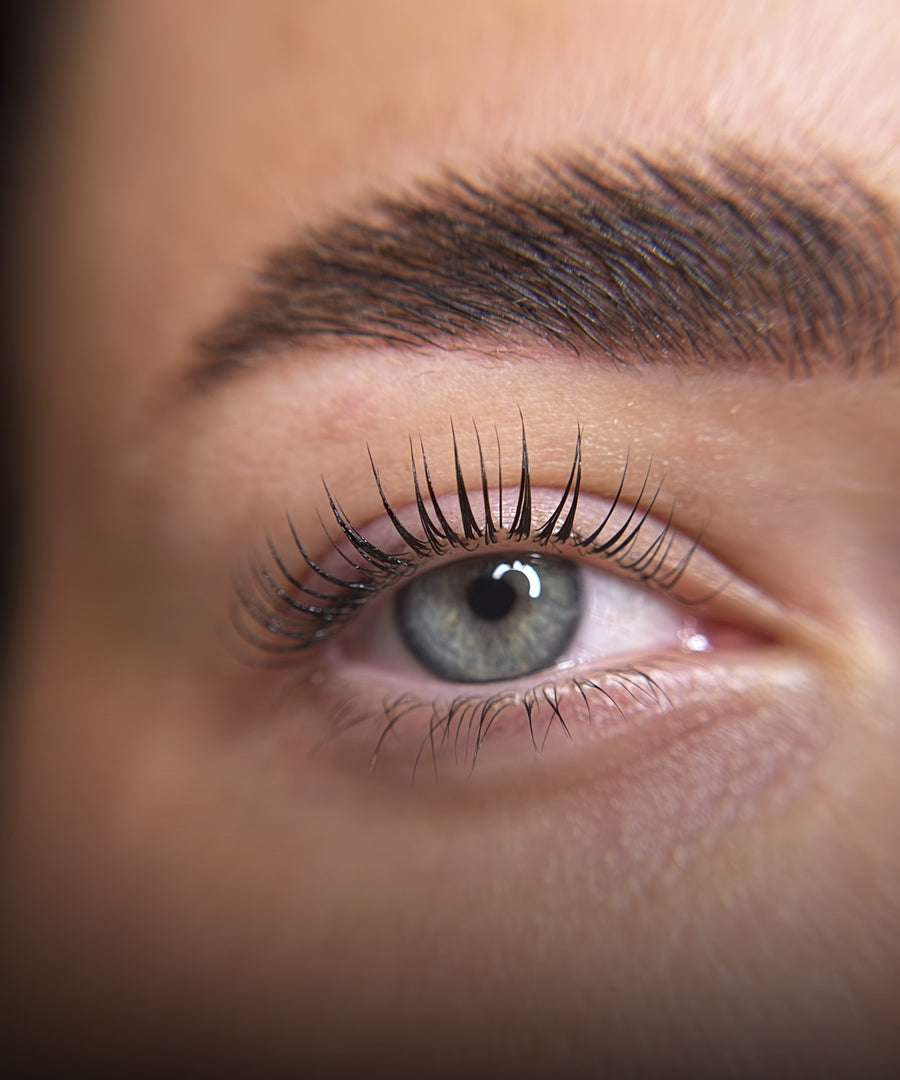 Korean Lash Lift mokymai su Simona